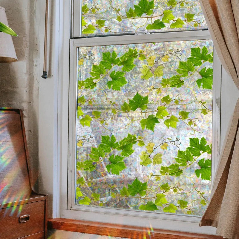 Rainbow Window Privacy Film
