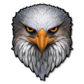 Reflective Eyes Eagle Decal