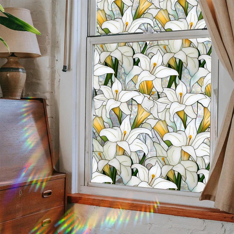 Rainbow Window Privacy Film